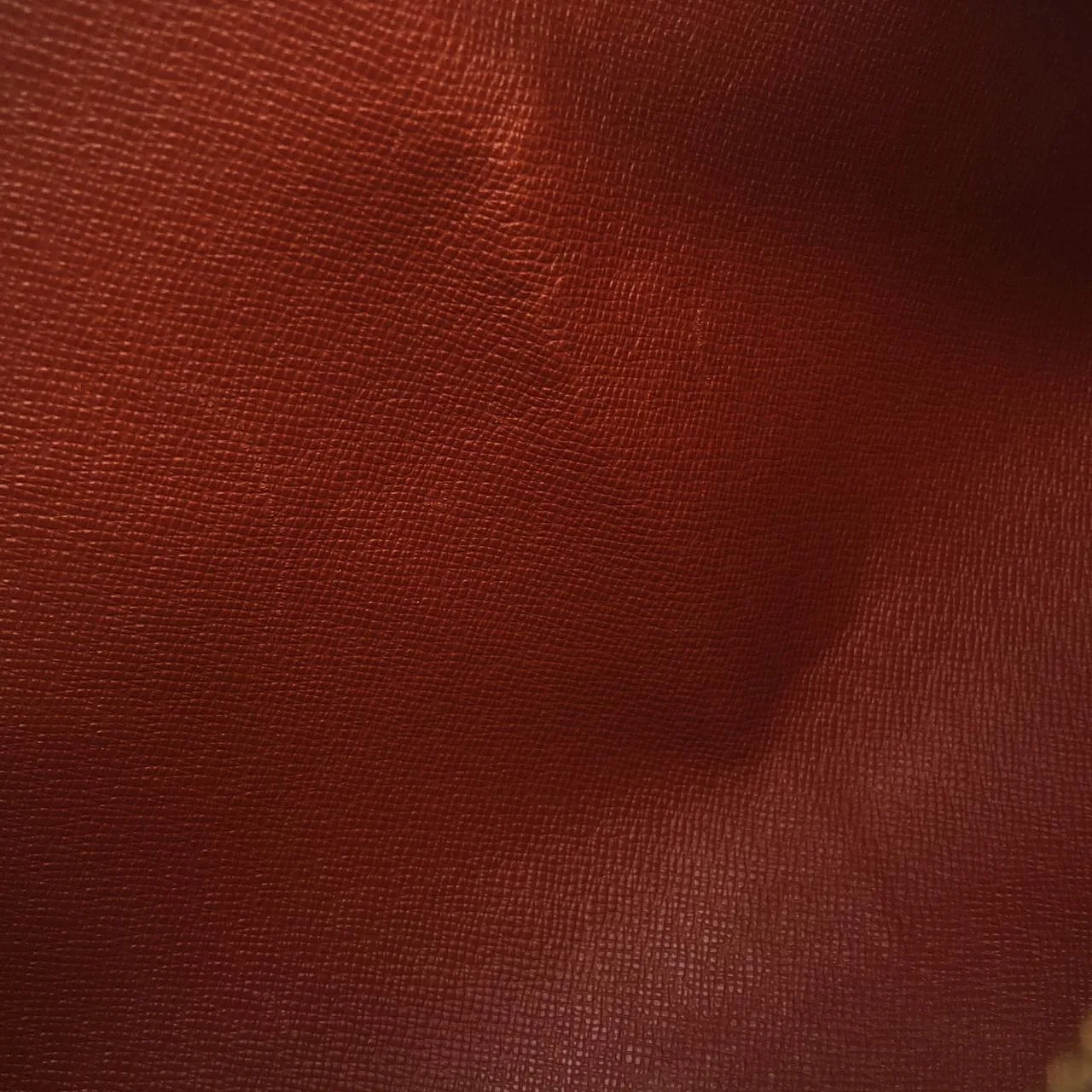 LOUIS VUITTON Papillon N51304 Handbag Damier