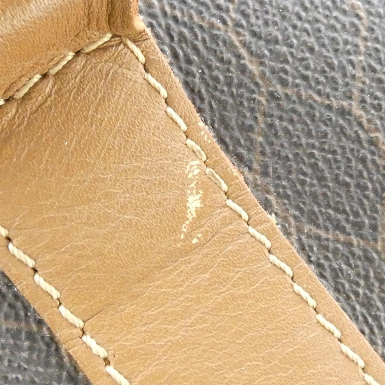 DIOR Boston Canvas 4
