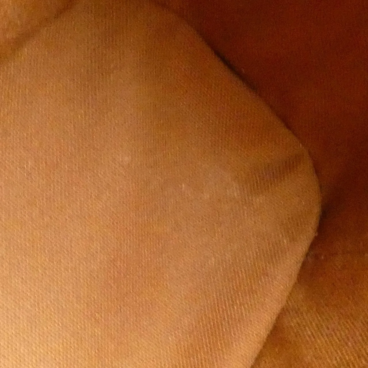 LOUIS VUITTON M51170 Handbag Monogram