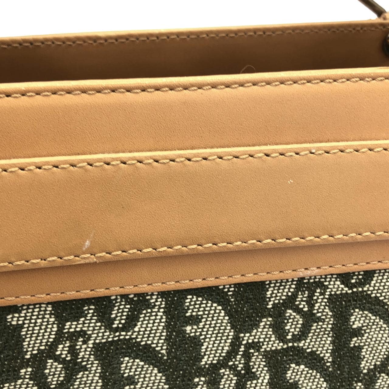 DIOR 手提包 帆布 5