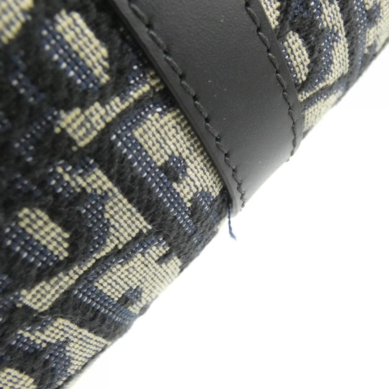 DIOR S2348UTZQ Handbag Canvas 帆布 新品 - 縮圖 3