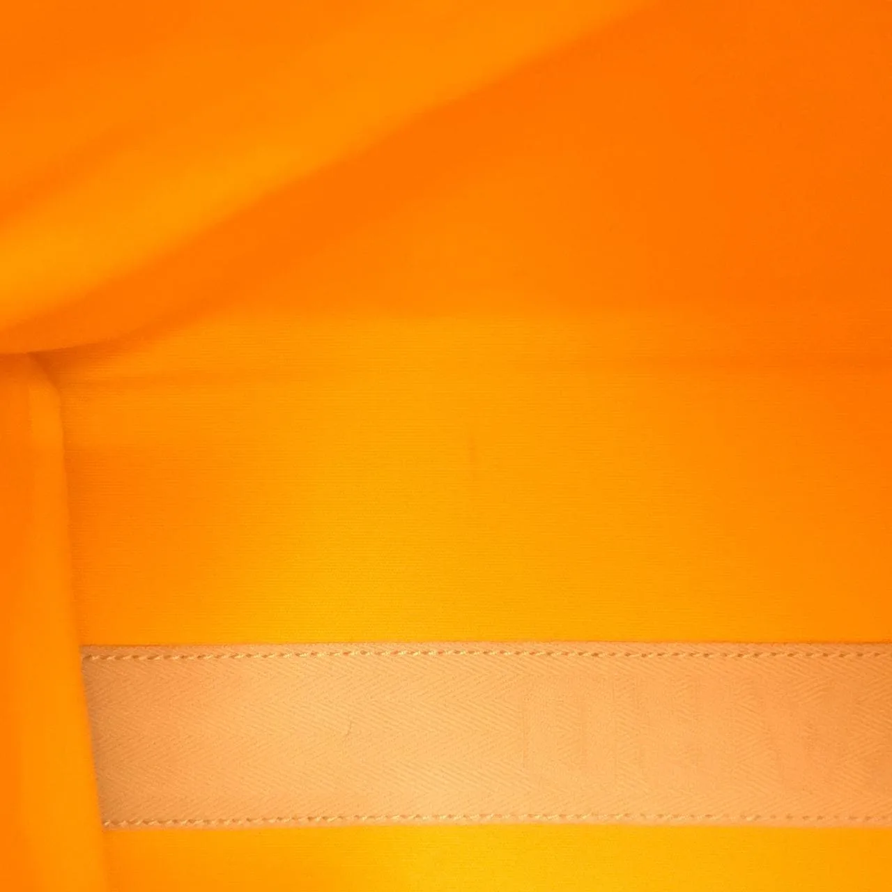 GOYARD Backpack Canvas