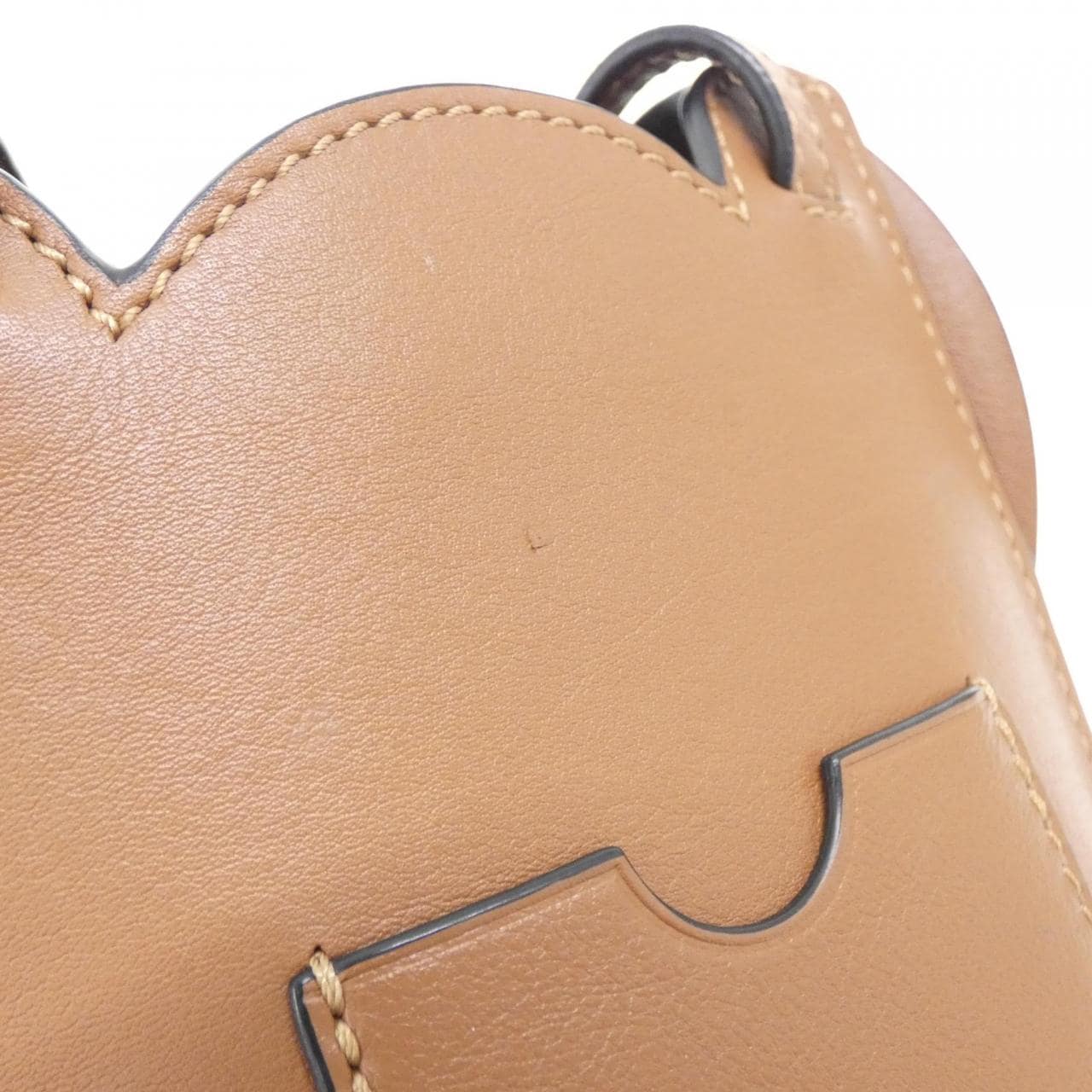 LOEWE C623B02X04 肩背包 5