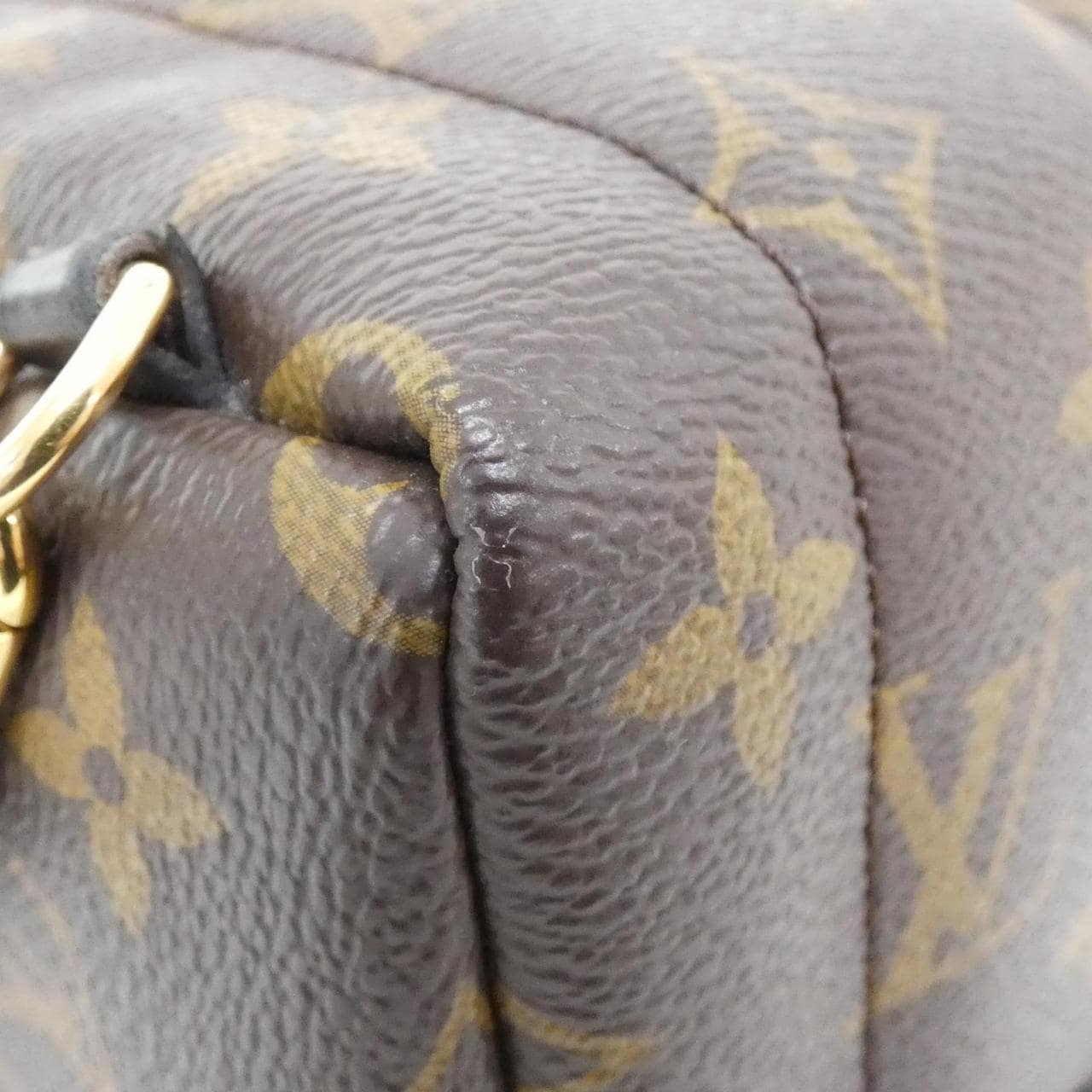 LOUIS VUITTON Palm Springs M44873 Backpack Monogram 3