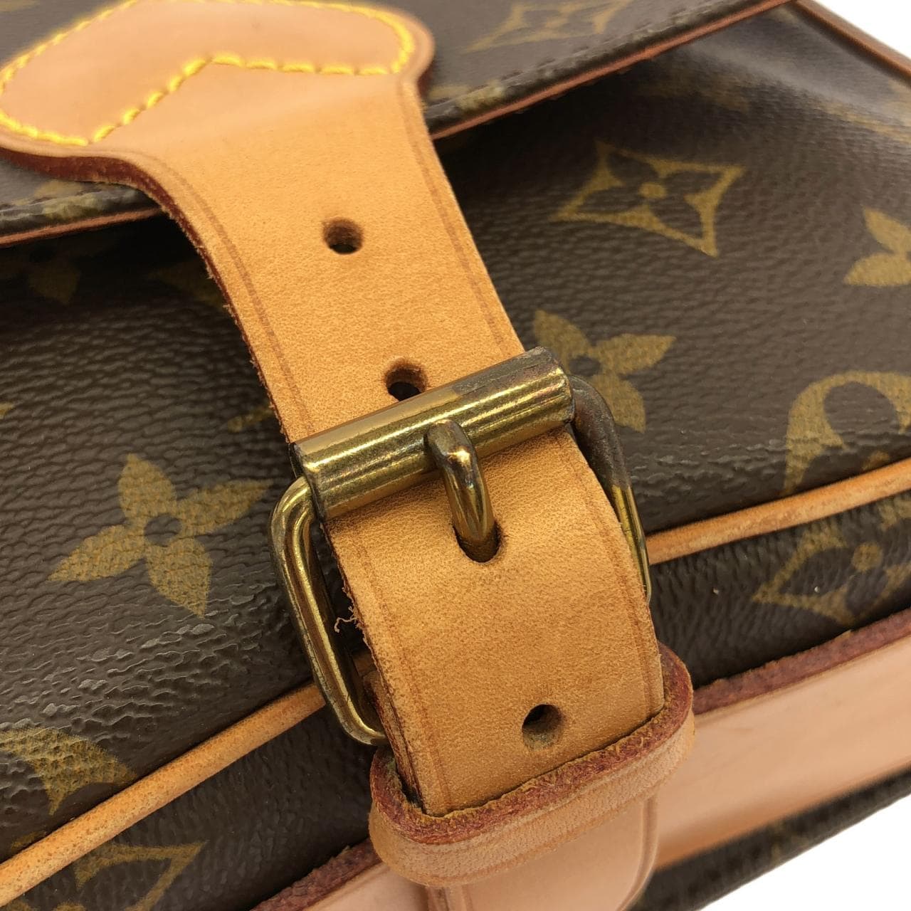 LOUIS VUITTON M51253 肩背包 Monogram 5