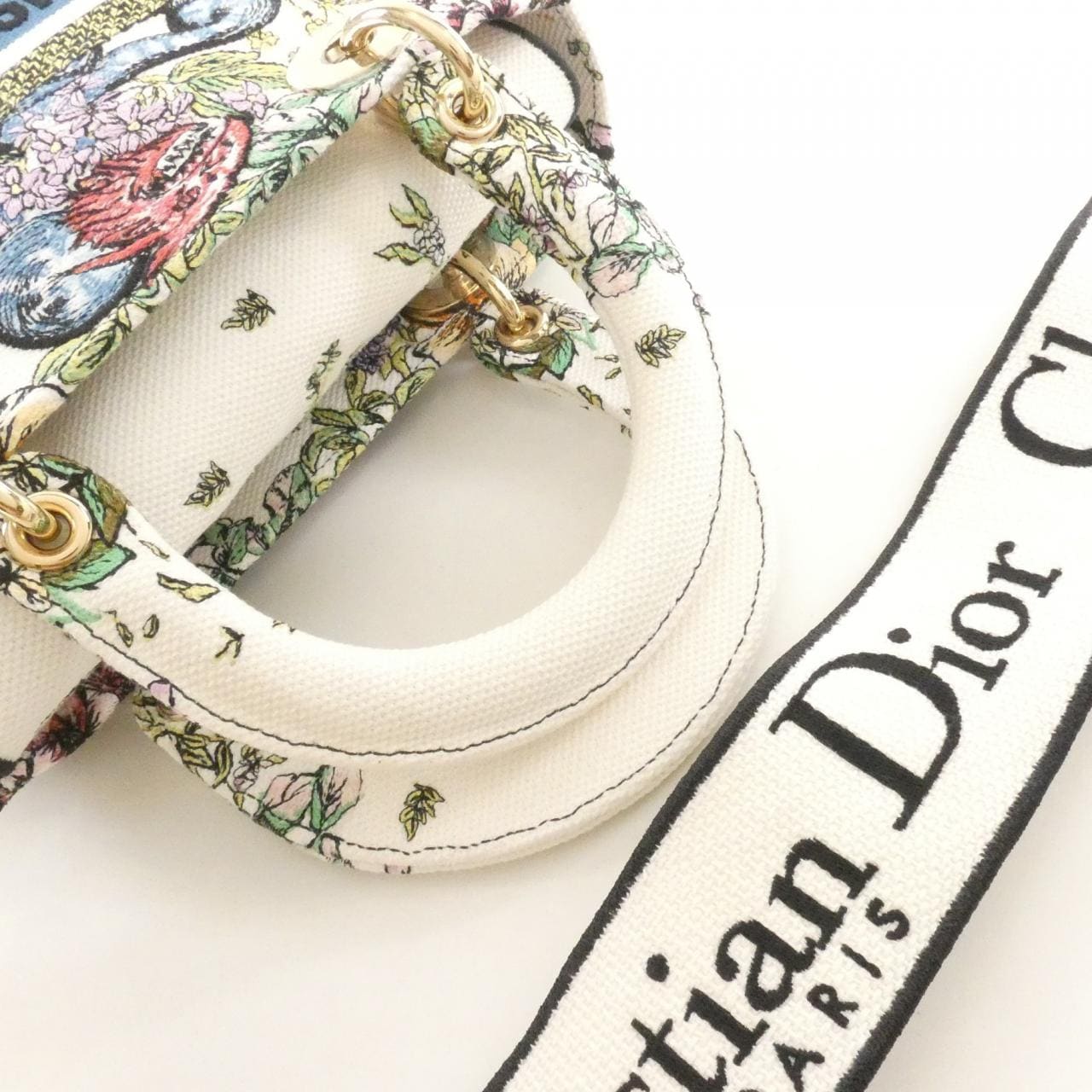DIOR Lady Dior M0565ORUV 手提包 帆布 5