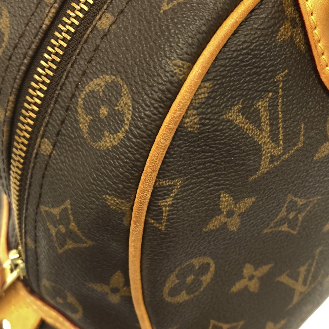 LOUIS VUITTON M95566 肩背包 Monogram 5