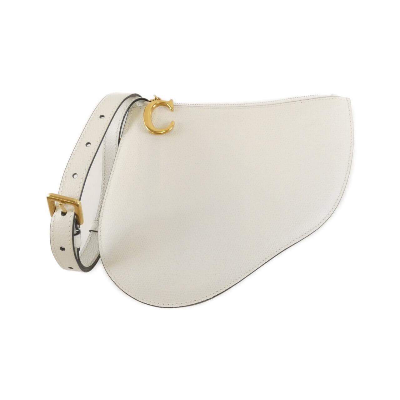 DIOR Saddle Shoulder Leather