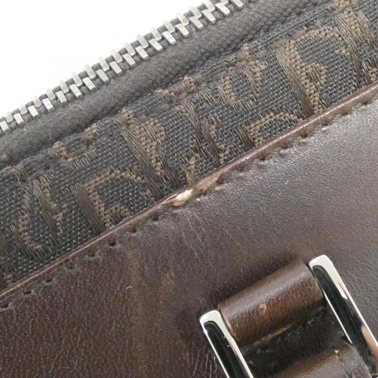 DIOR 手提包 帆布 5