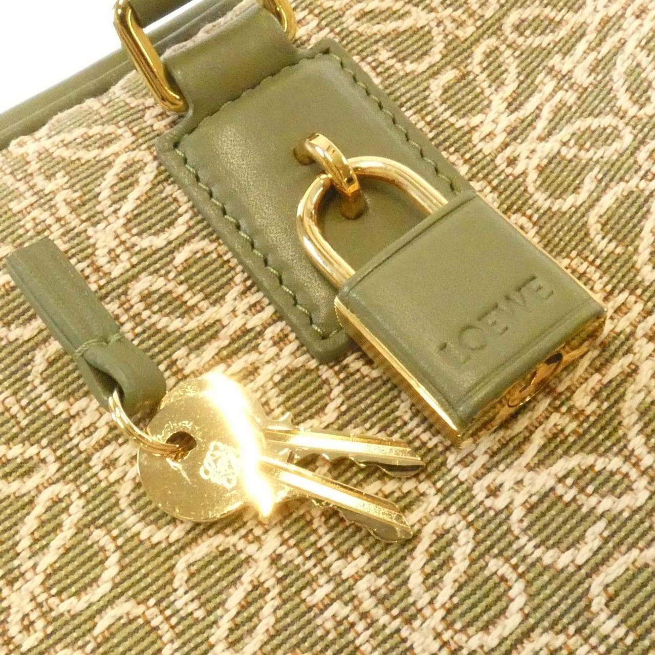 LOEWE Amazona A039N08X02 Handbag Canvas 5