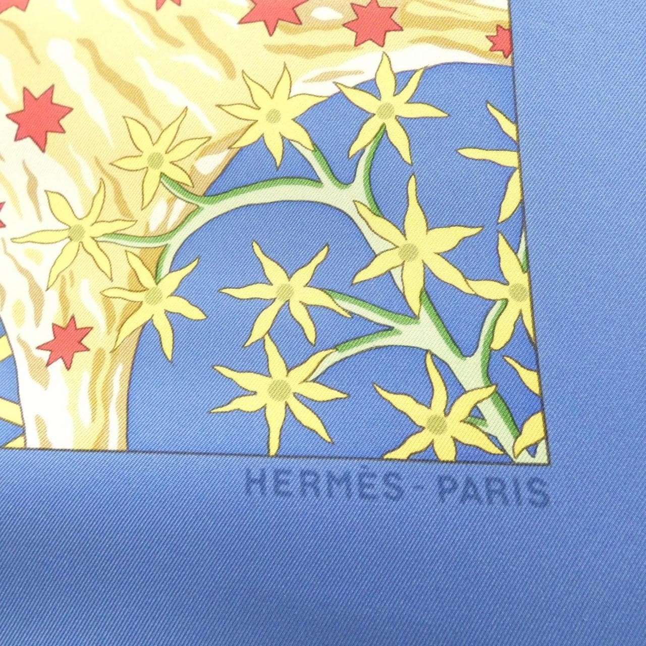 HERMES Scarf 2