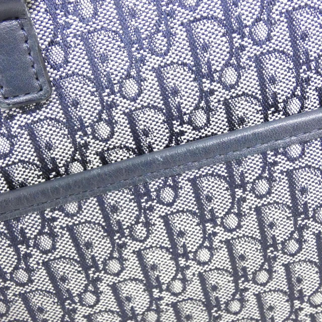 DIOR 手提包 帆布 5