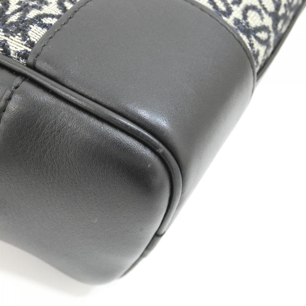 LOEWE Amazona A039N21X03 手提包 帆布 4