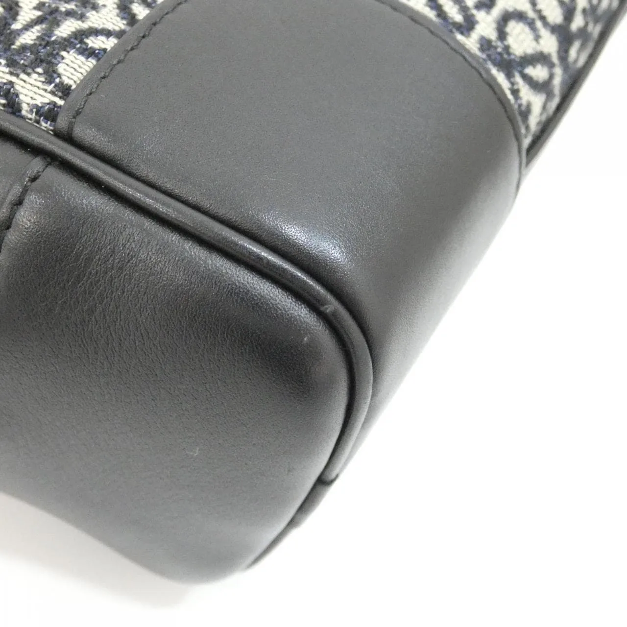 LOEWE Amazona A039N21X03 手提包 帆布 4