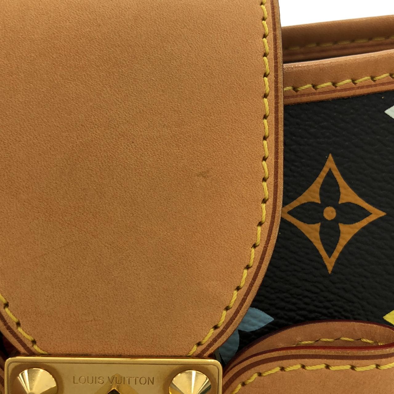 LOUIS VUITTON M40308 手提包 帆布 4