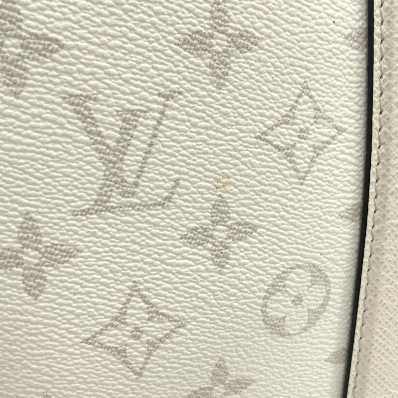 LOUIS VUITTON M30919 托特包 帆布 3