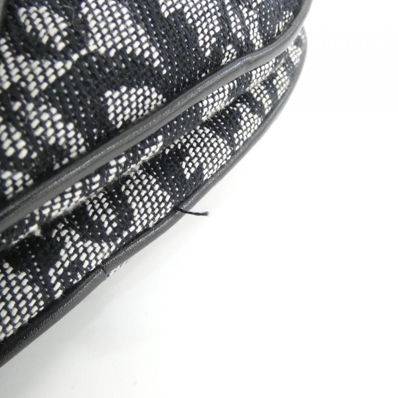 DIOR Shoulder Canvas 3