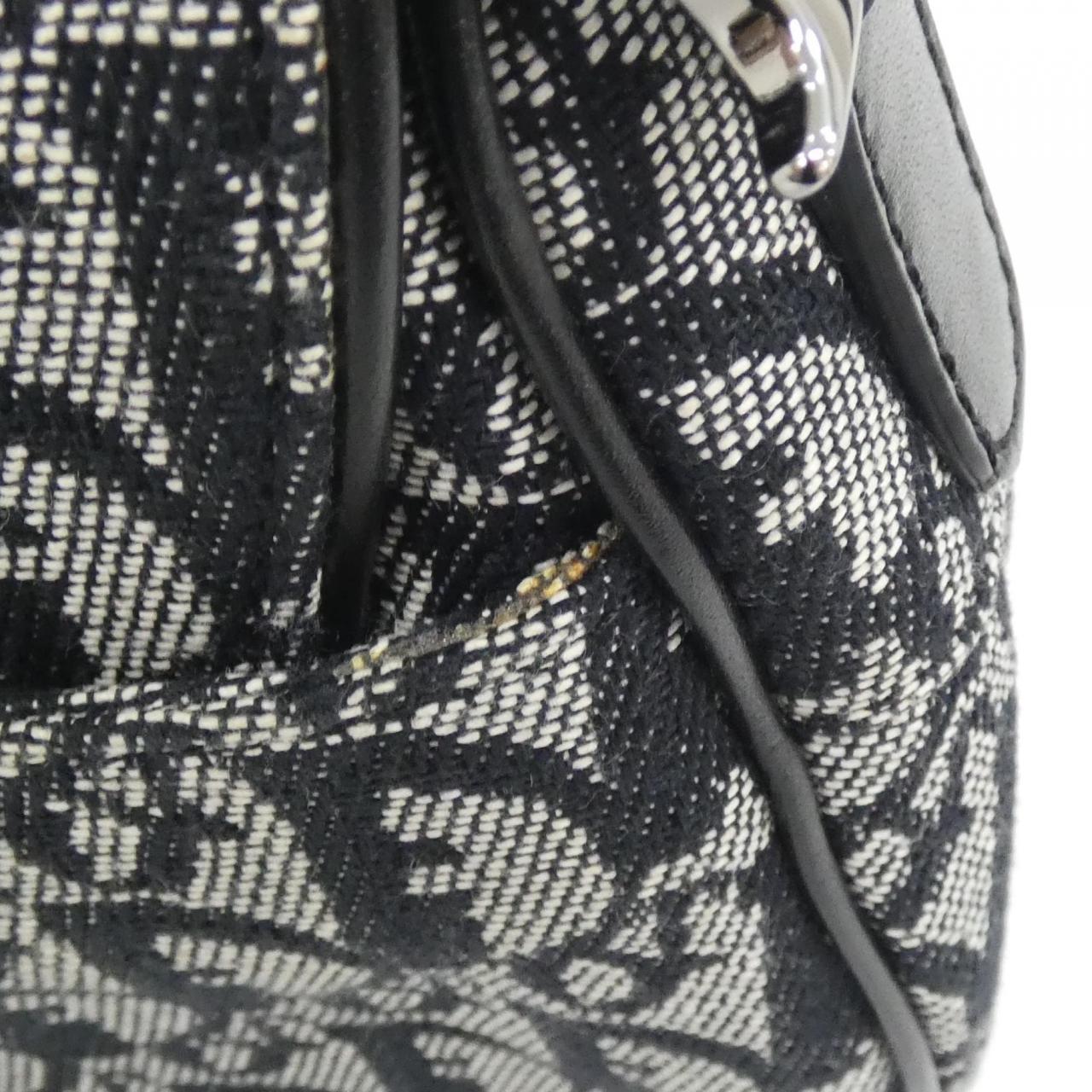 DIOR Shoulder Canvas 5