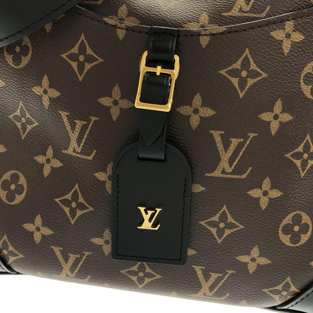 LOUIS VUITTON Odéon M45353 肩背包 Monogram 4