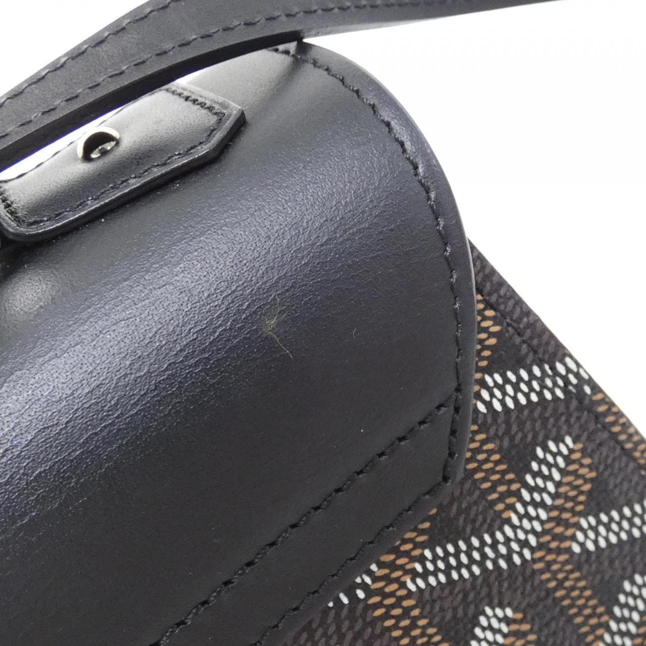 GOYARD Saigon Handbag Canvas 5