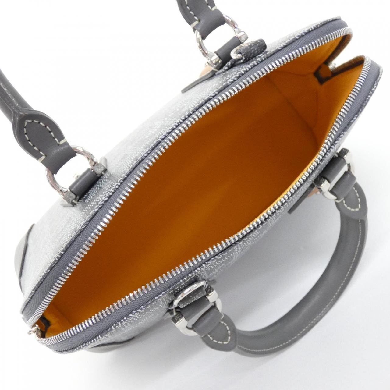 GOYARD Handbag Canvas 5
