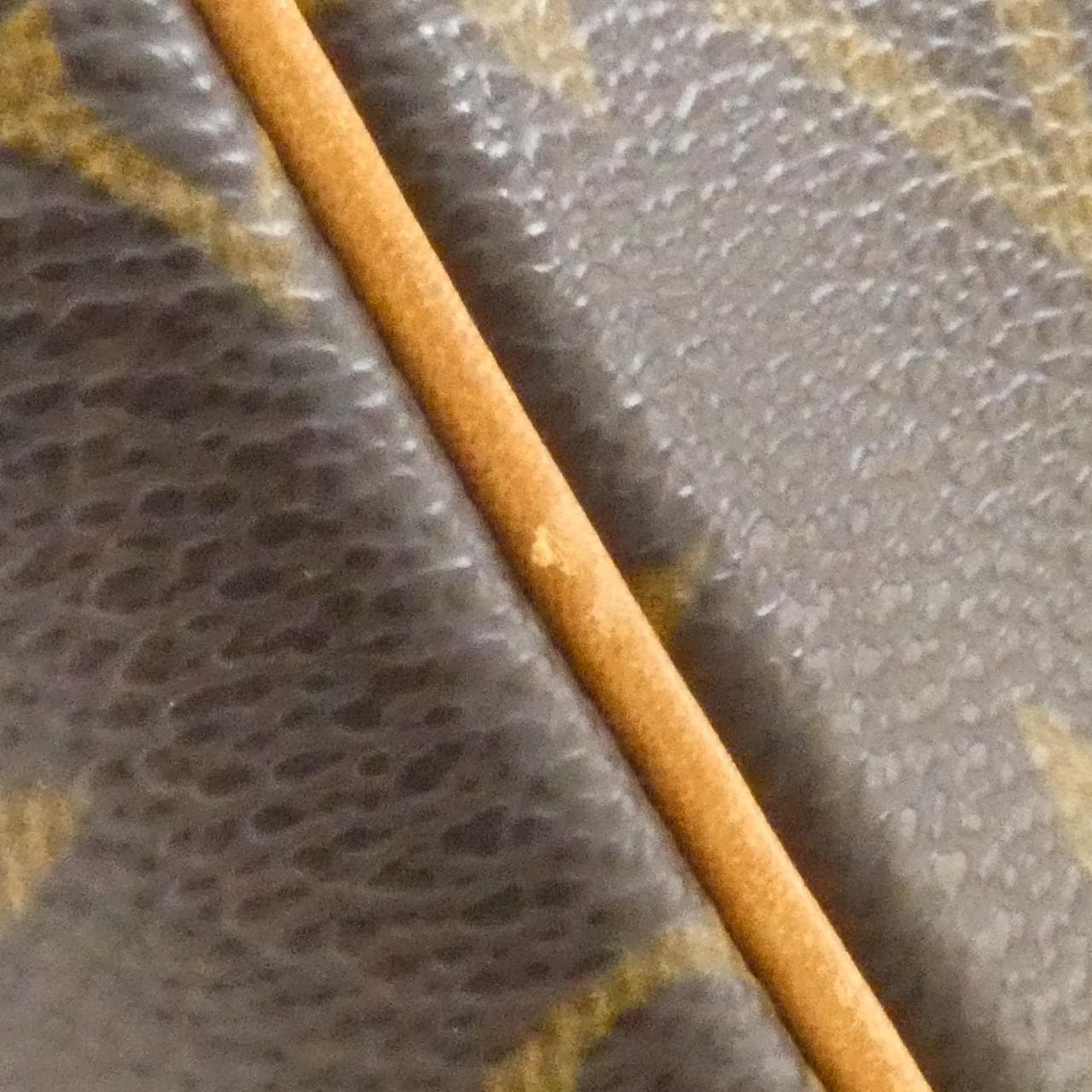 LOUIS VUITTON Viva Cité M51163 Shoulder Monogram 4