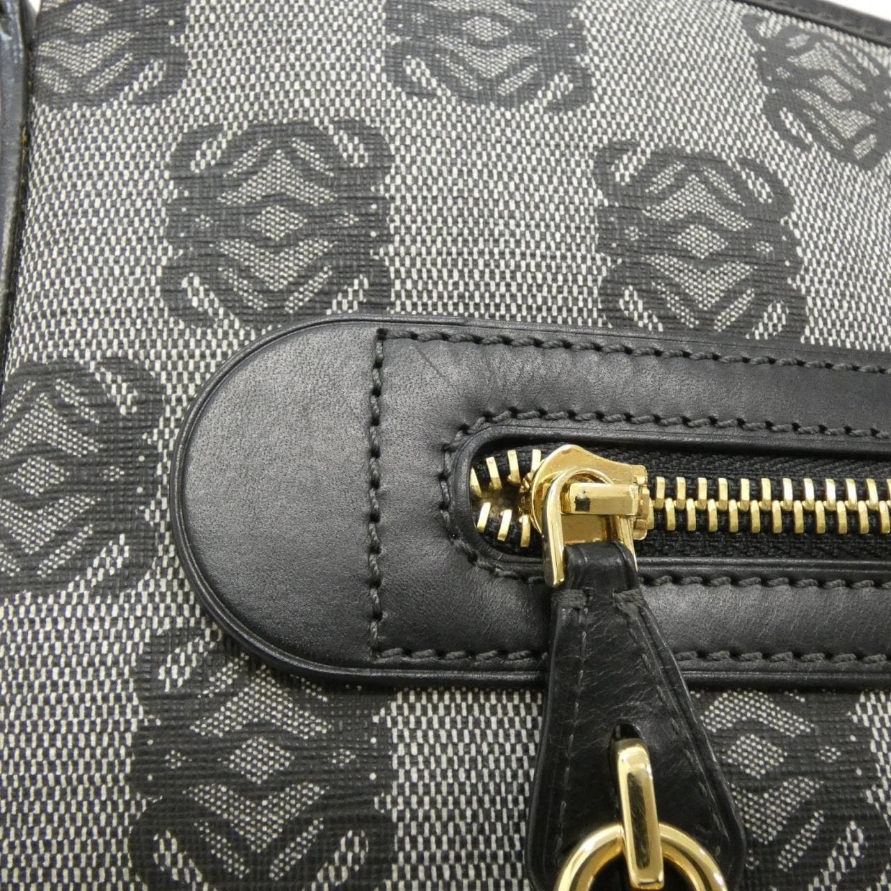 LOEWE 345 80 C15 肩背包 帆布 5