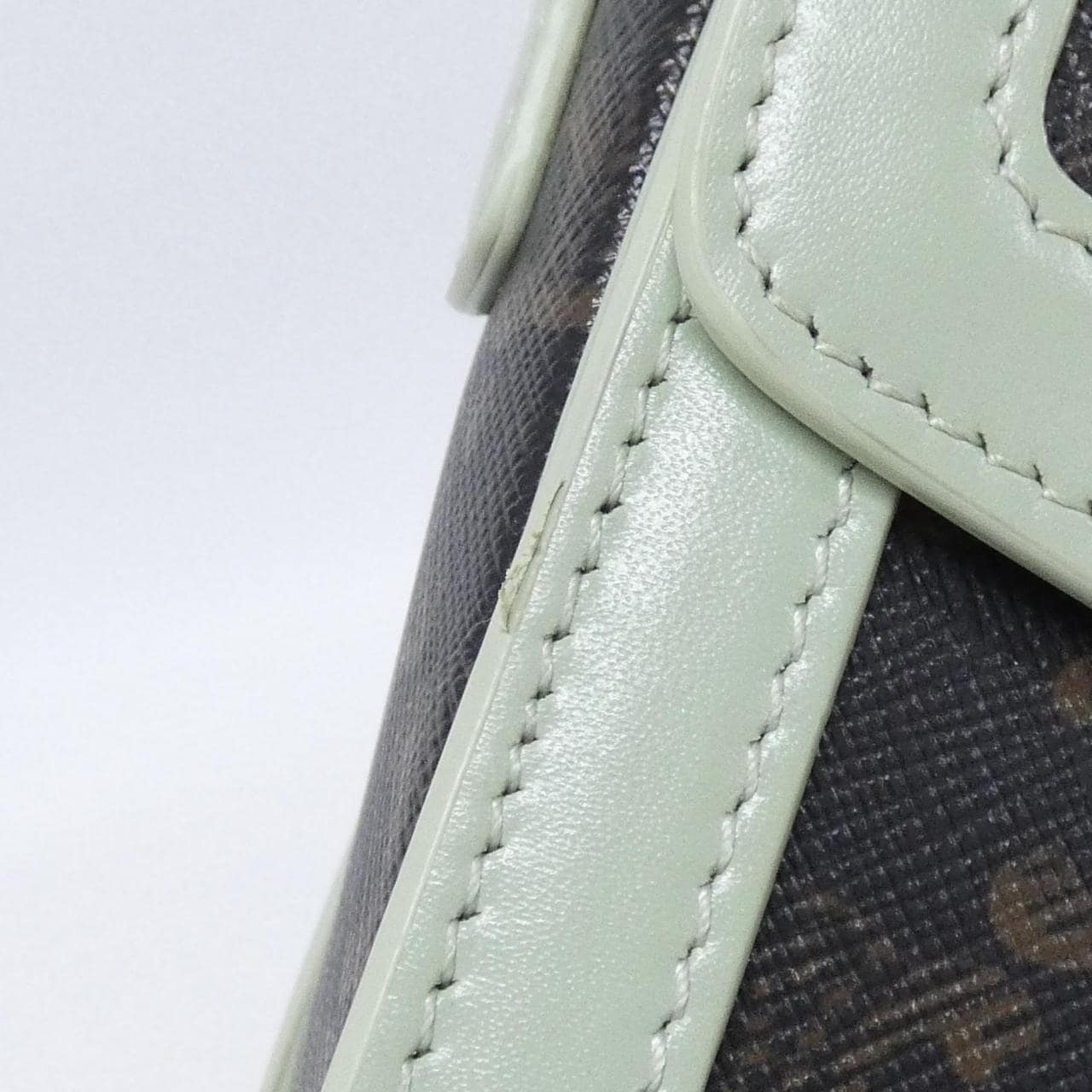 CELINE Triomphe 肩背包 帆布 4