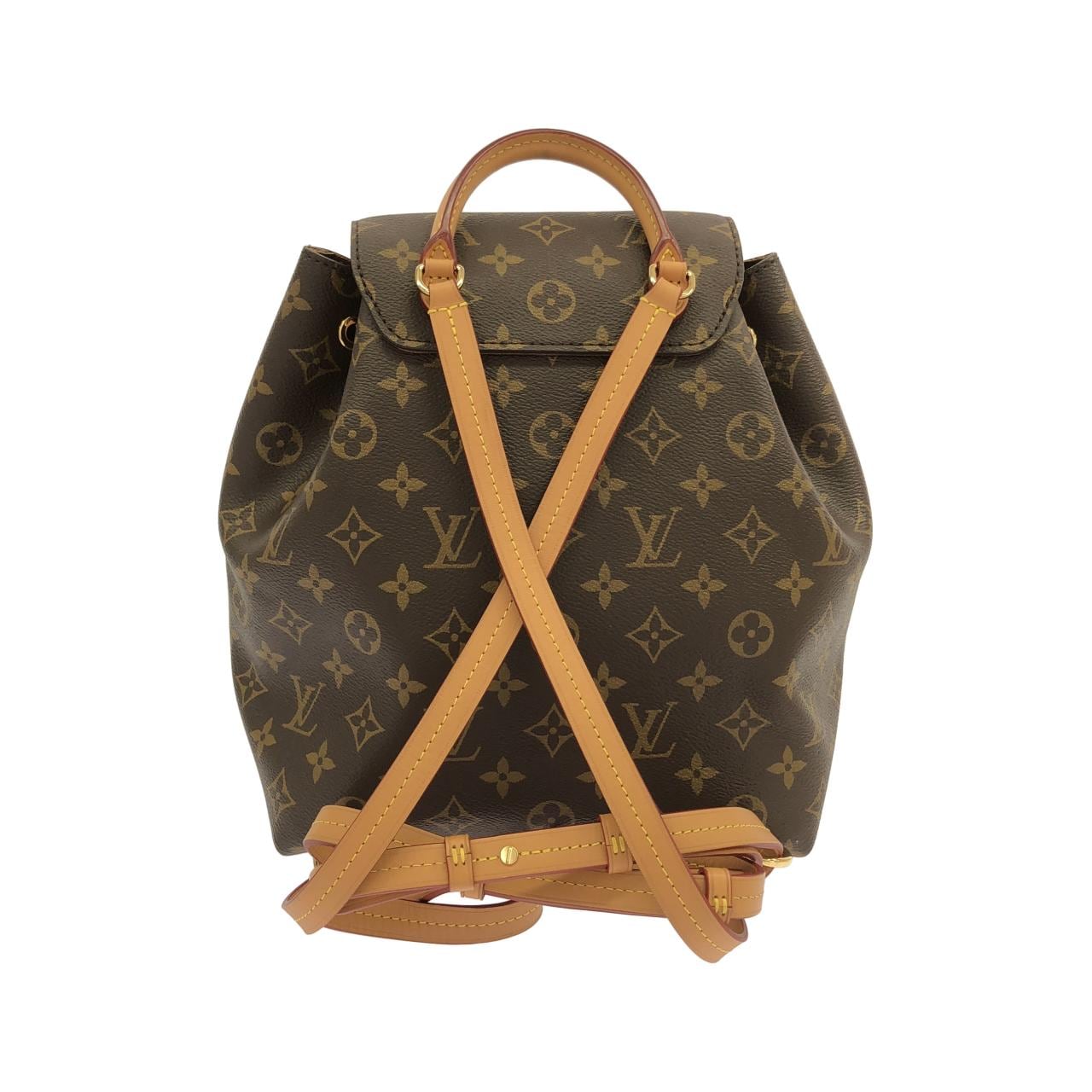 LOUIS VUITTON Montsouris M45501 背包 Monogram 2