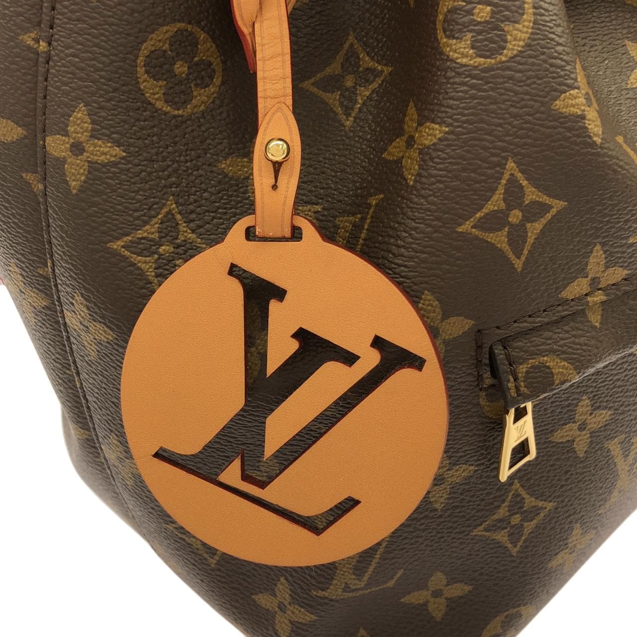 LOUIS VUITTON Montsouris M45501 背包 Monogram 4