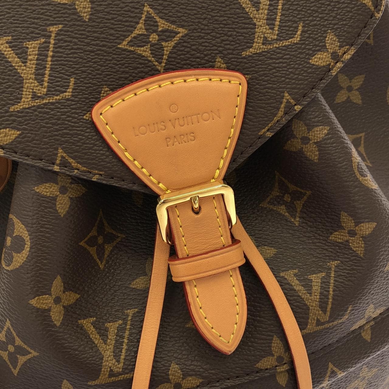 LOUIS VUITTON Montsouris M45501 背包 Monogram 5
