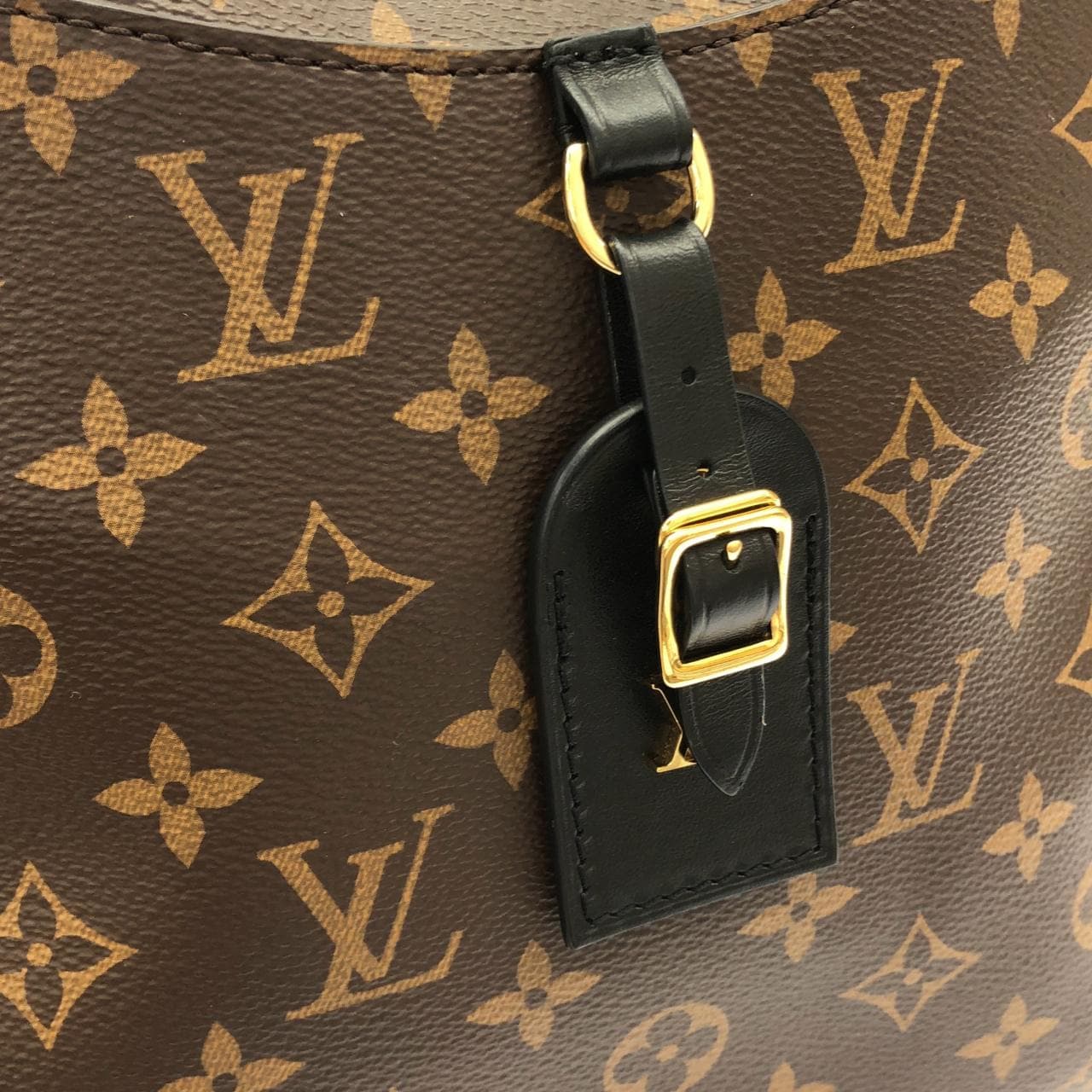 LOUIS VUITTON Odéon M45352 肩背包 Monogram 4