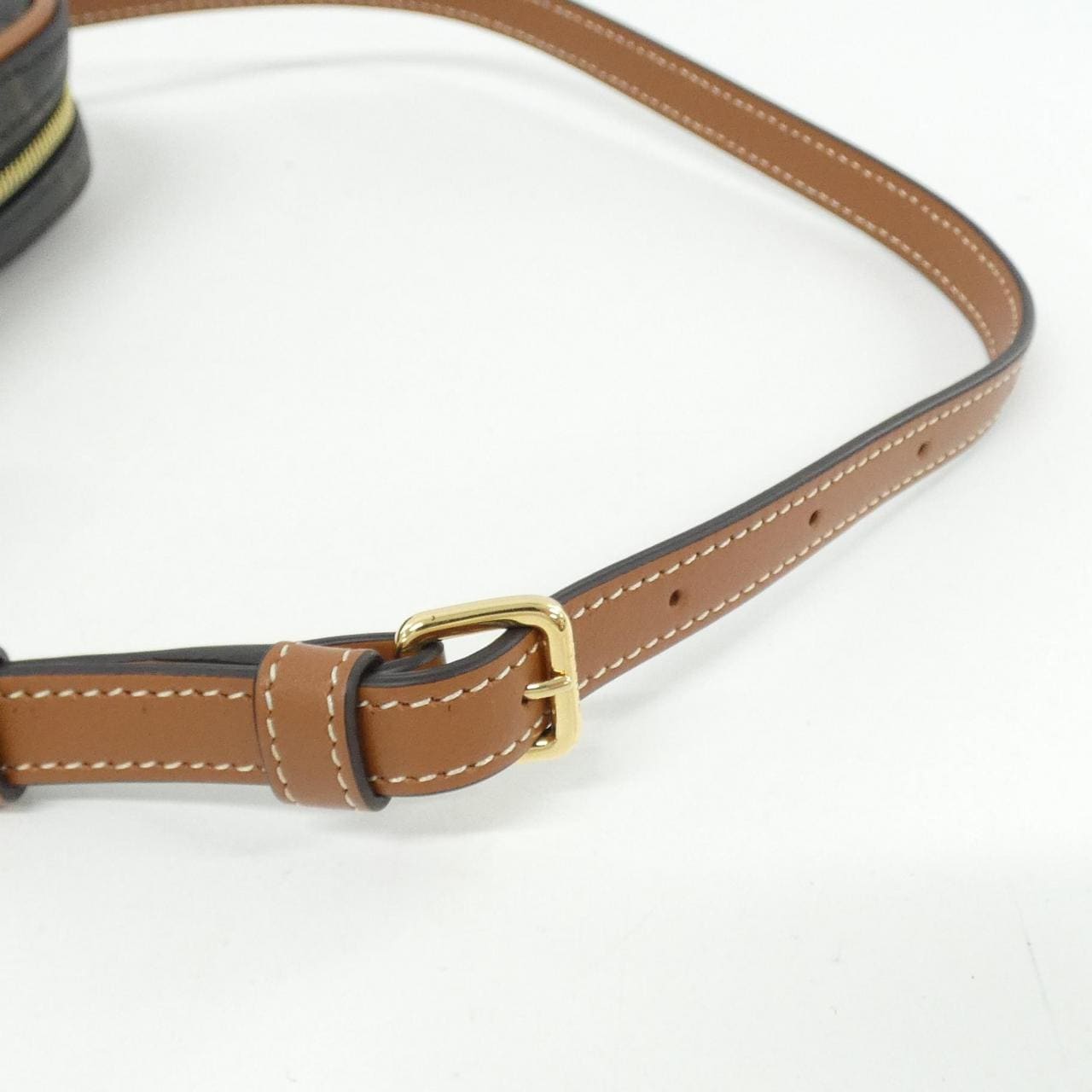 CELINE 10J582EGJ Shoulder Canvas 4