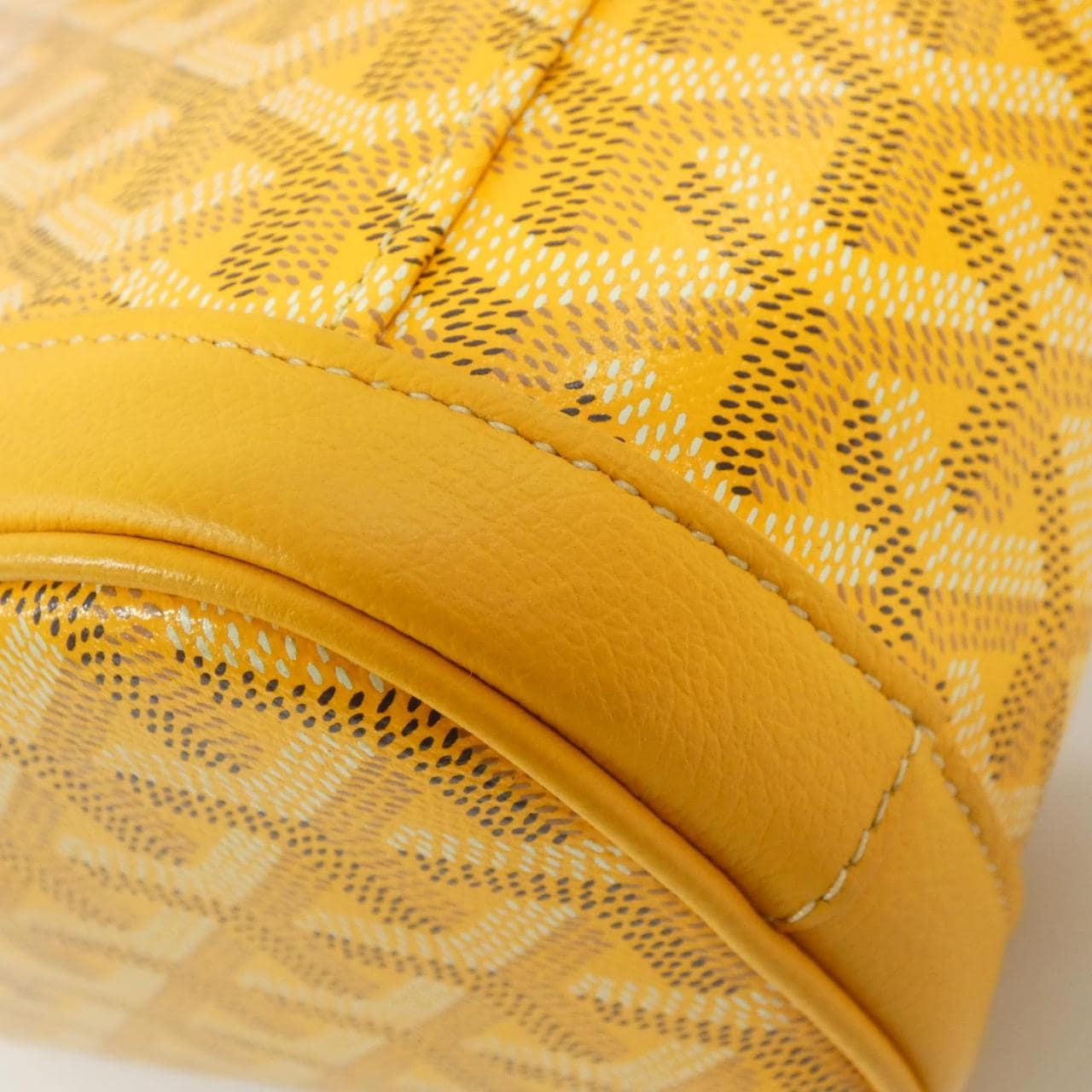 GOYARD Backpack Canvas 3