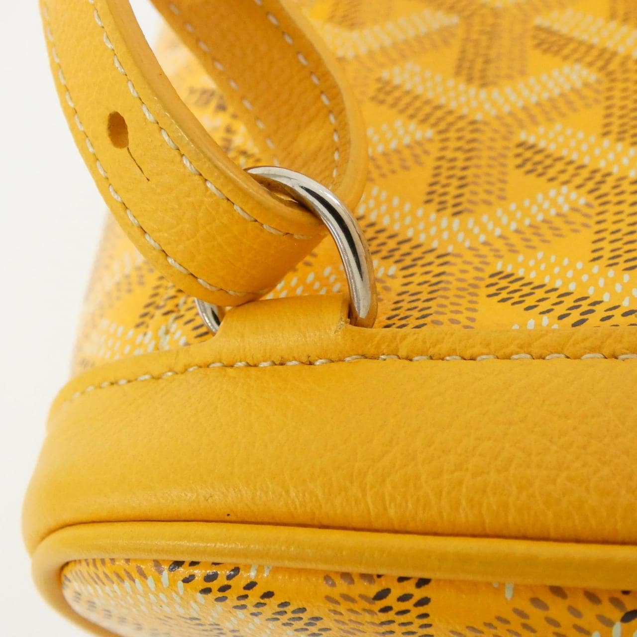 GOYARD Backpack Canvas 4