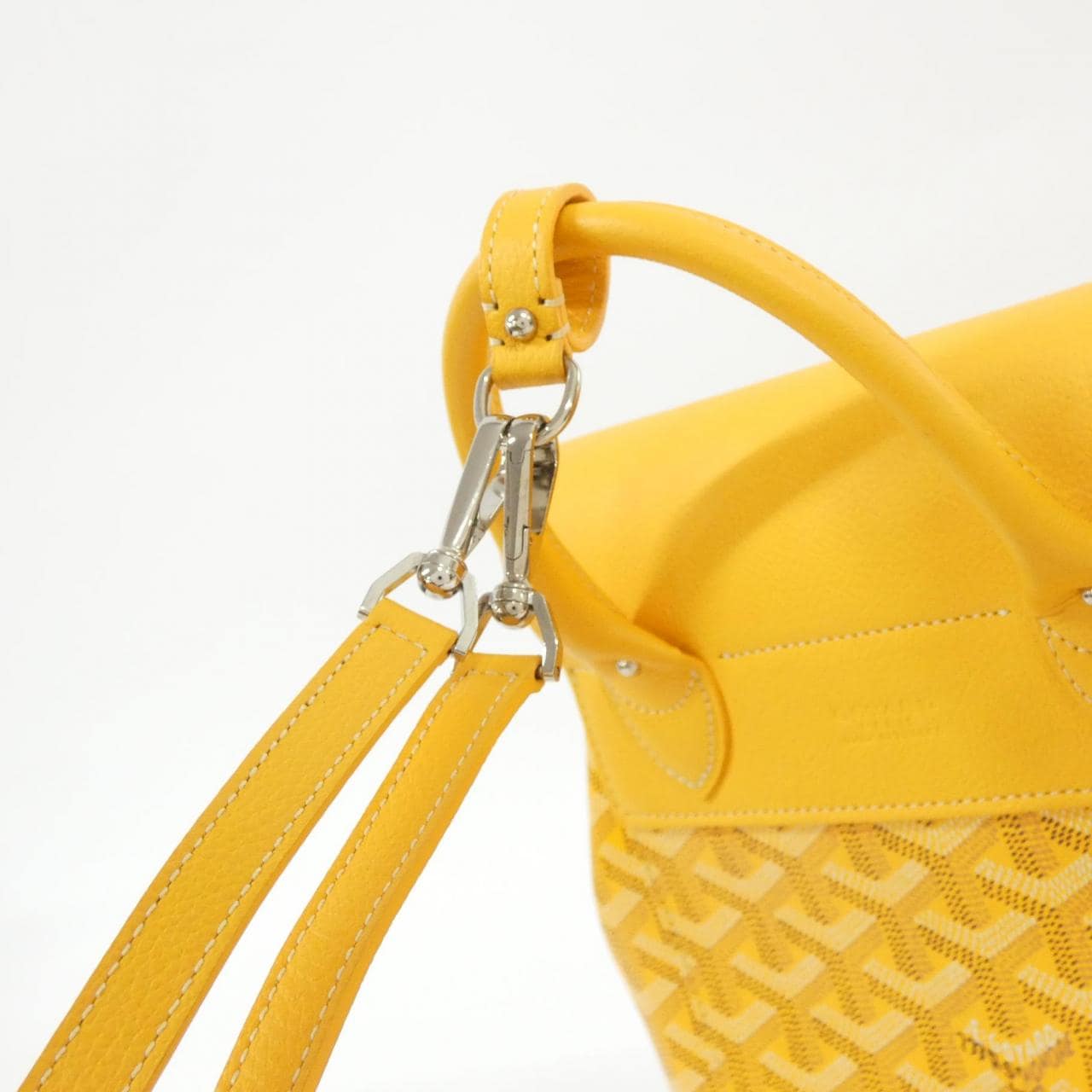 GOYARD Backpack Canvas 5