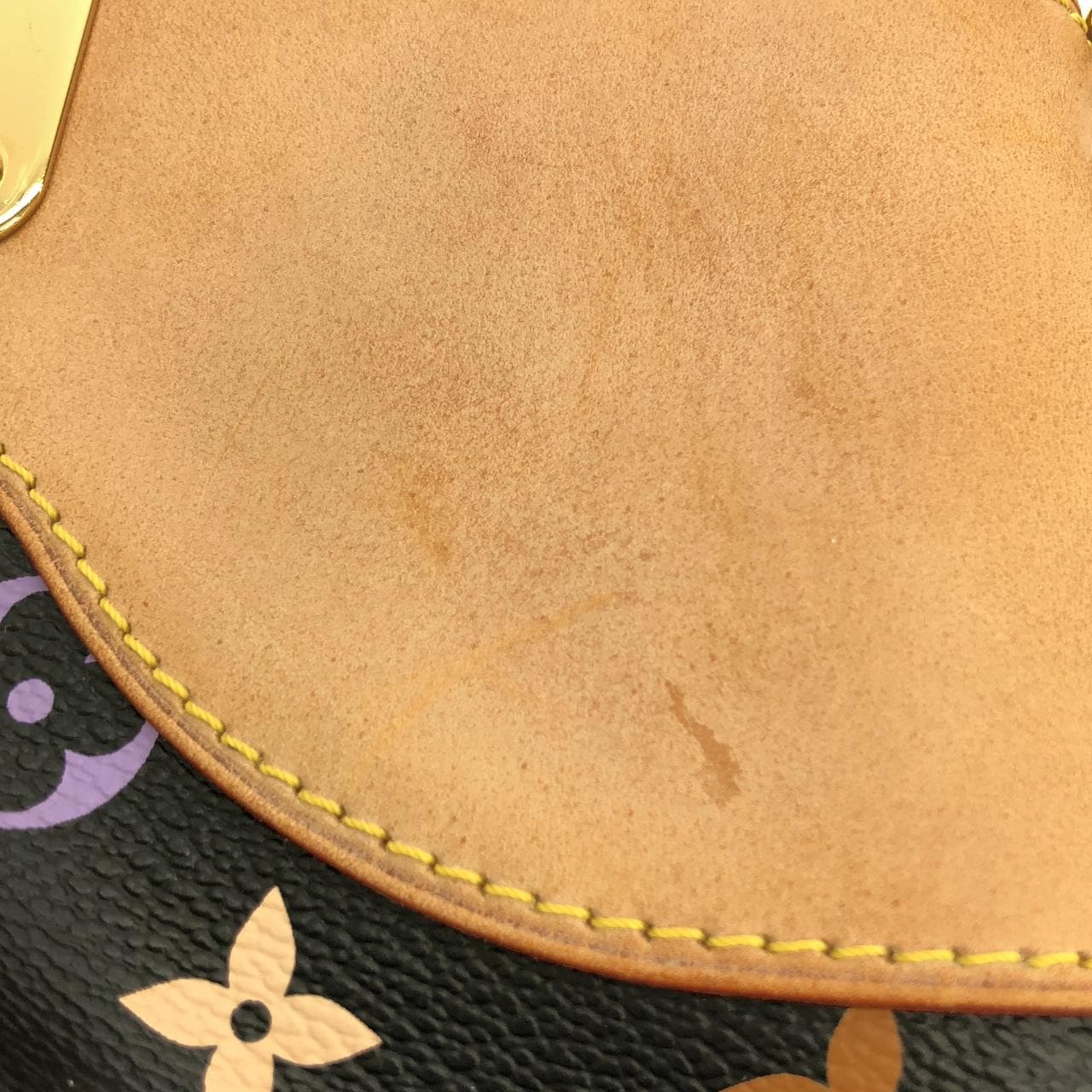 LOUIS VUITTON M40256 手提包 帆布 5