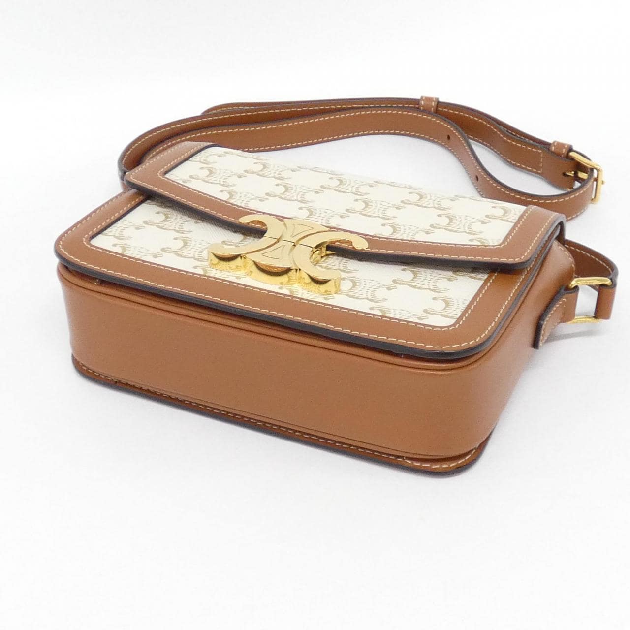 CELINE Triomphe 188882BZ4 Shoulder Canvas 3