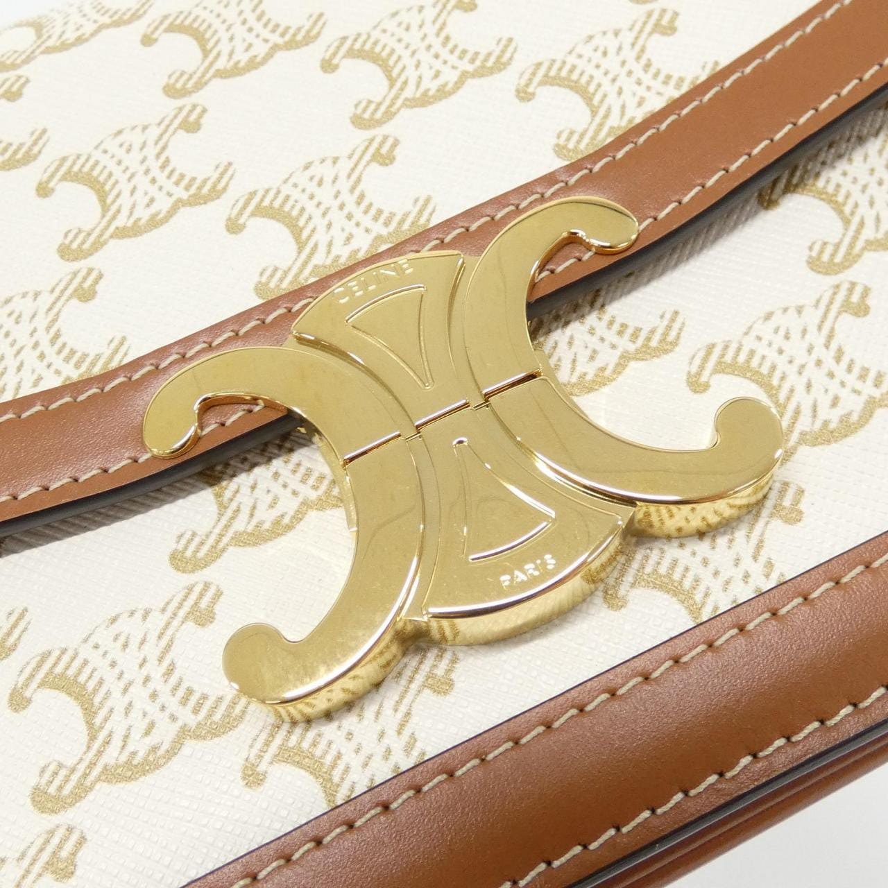 CELINE Triomphe 188882BZ4 Shoulder Canvas 4