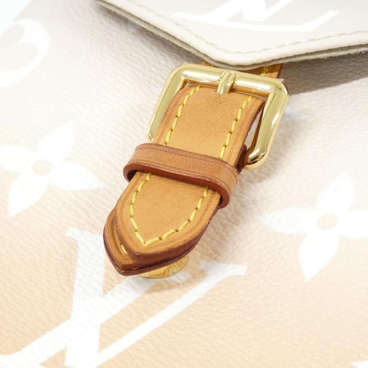 LOUIS VUITTON M45764 Backpack Canvas 4