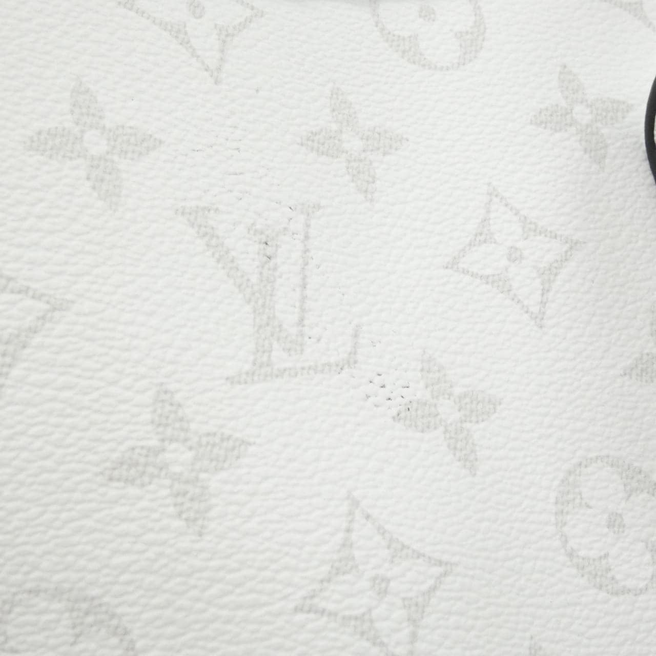 LOUIS VUITTON M30919 托特包 帆布 4