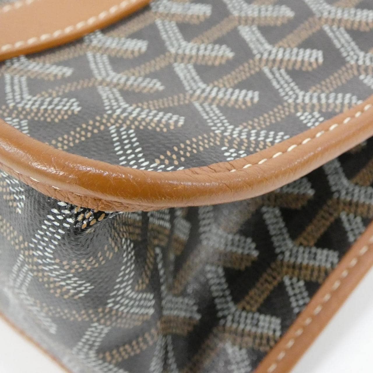 GOYARD Handbag Canvas 3