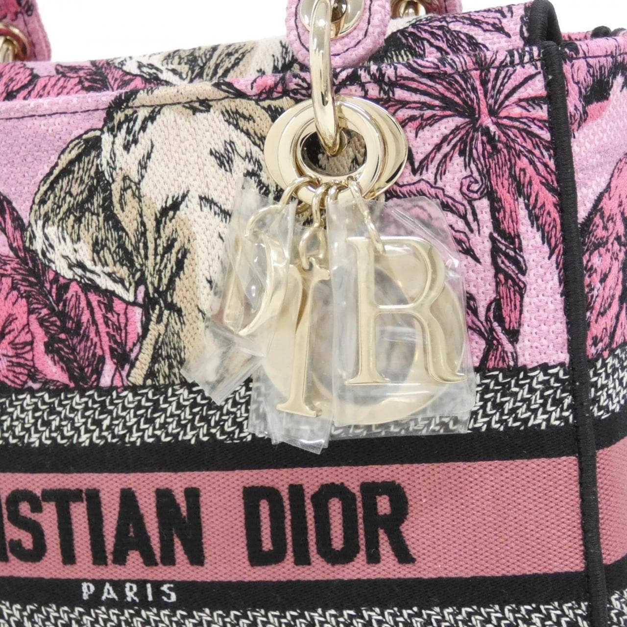 DIOR Lady Dior M0565OEUP 手提包 帆布 4