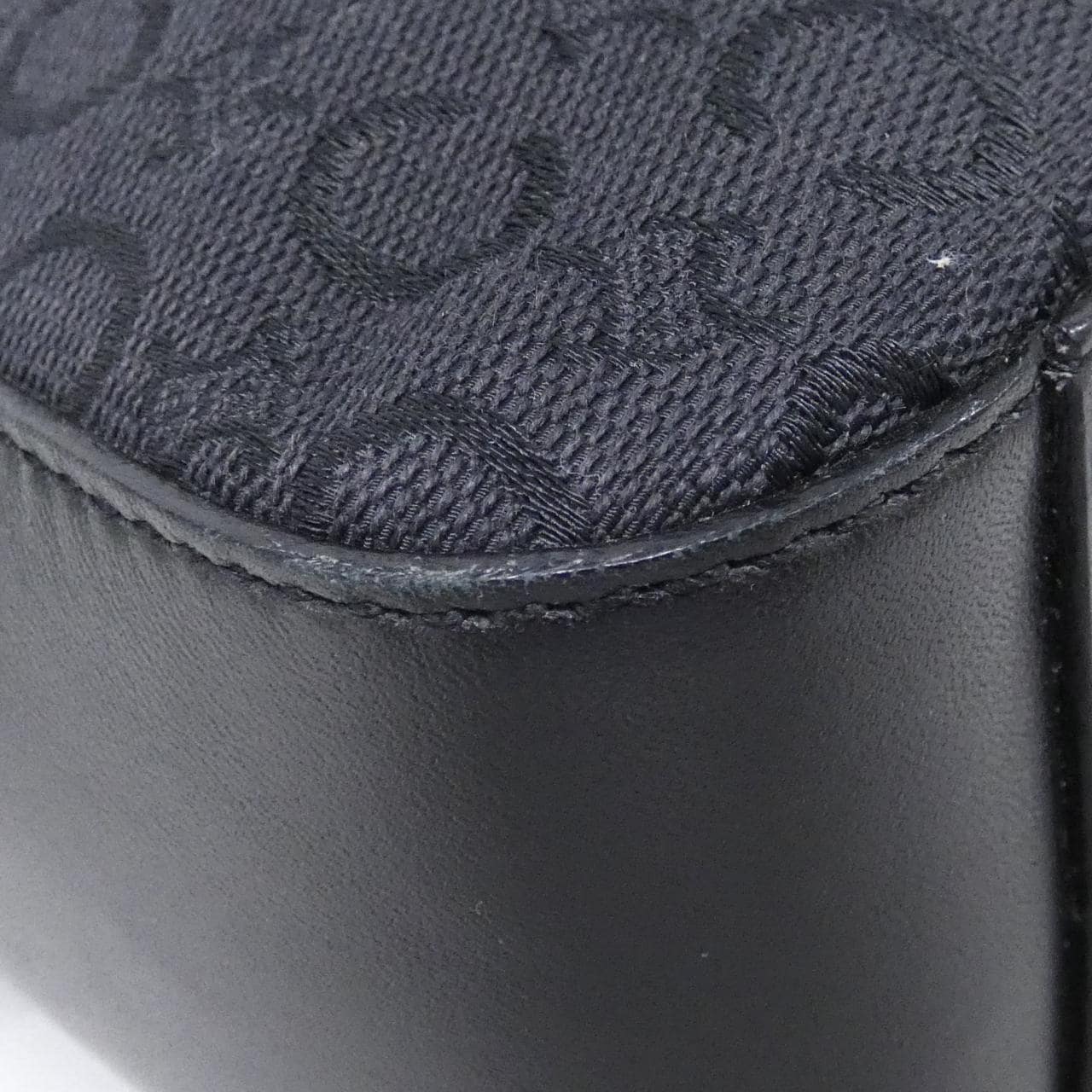 CELINE Handbag Canvas 2