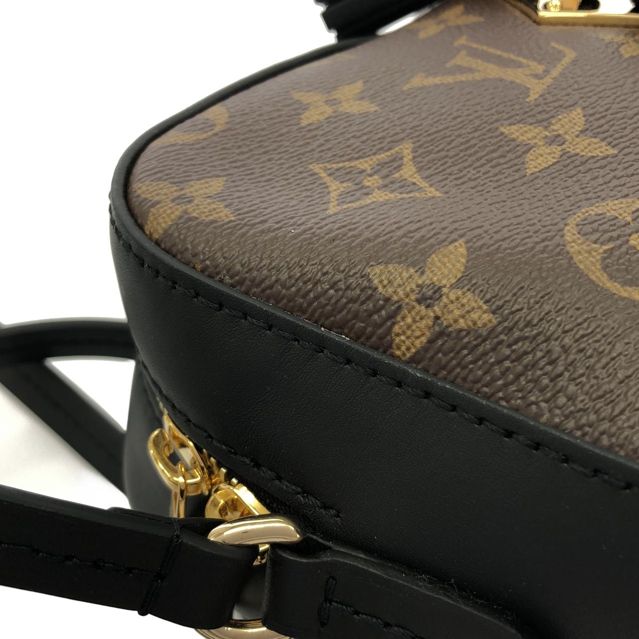LOUIS VUITTON M43555 Shoulder Monogram 5