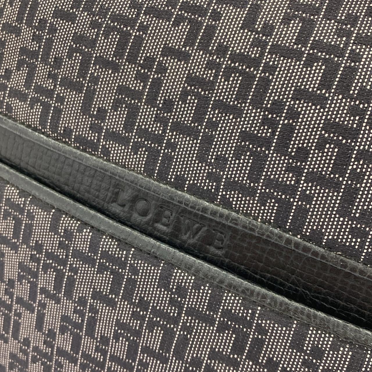 LOEWE Shoulder Canvas 4