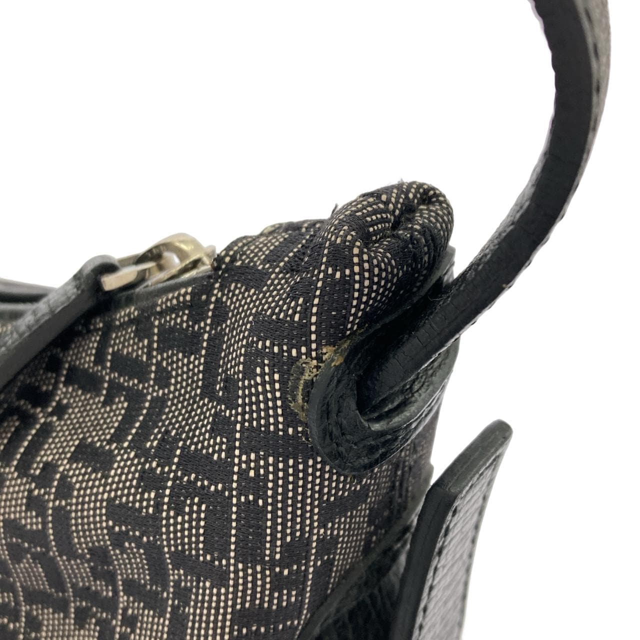 LOEWE Shoulder Canvas 5