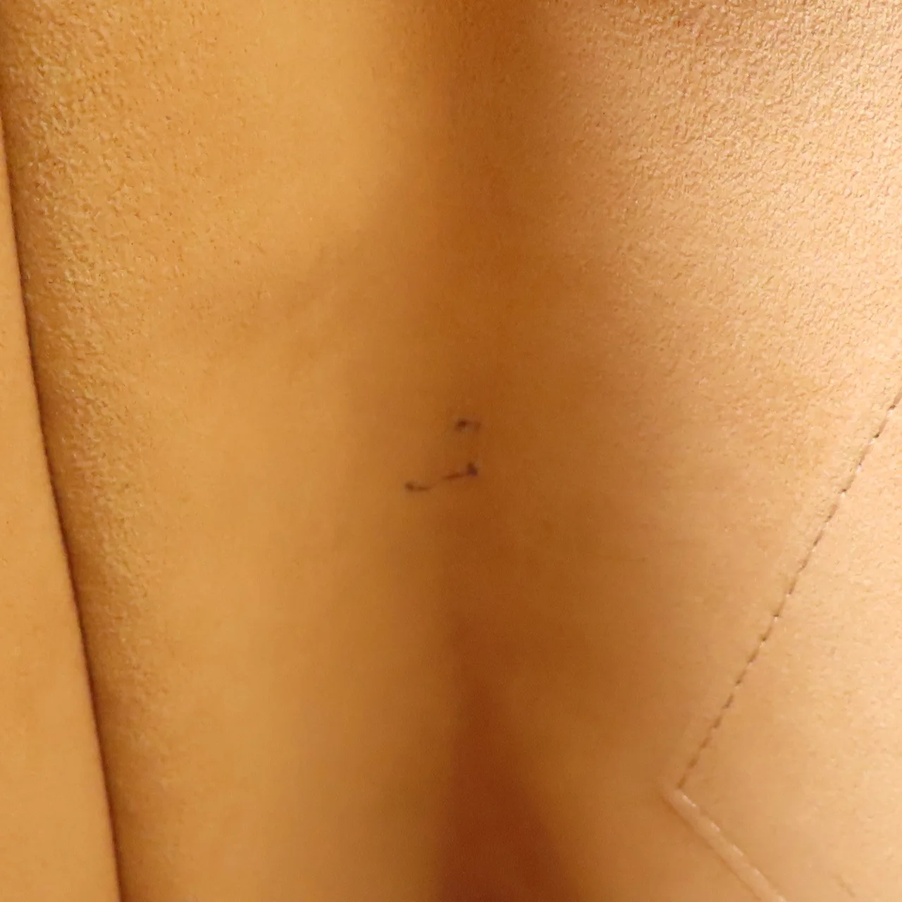 LOUIS VUITTON M50543 兩用包 牛皮 紅色 / Red 牛皮 中古品A - 縮圖 15