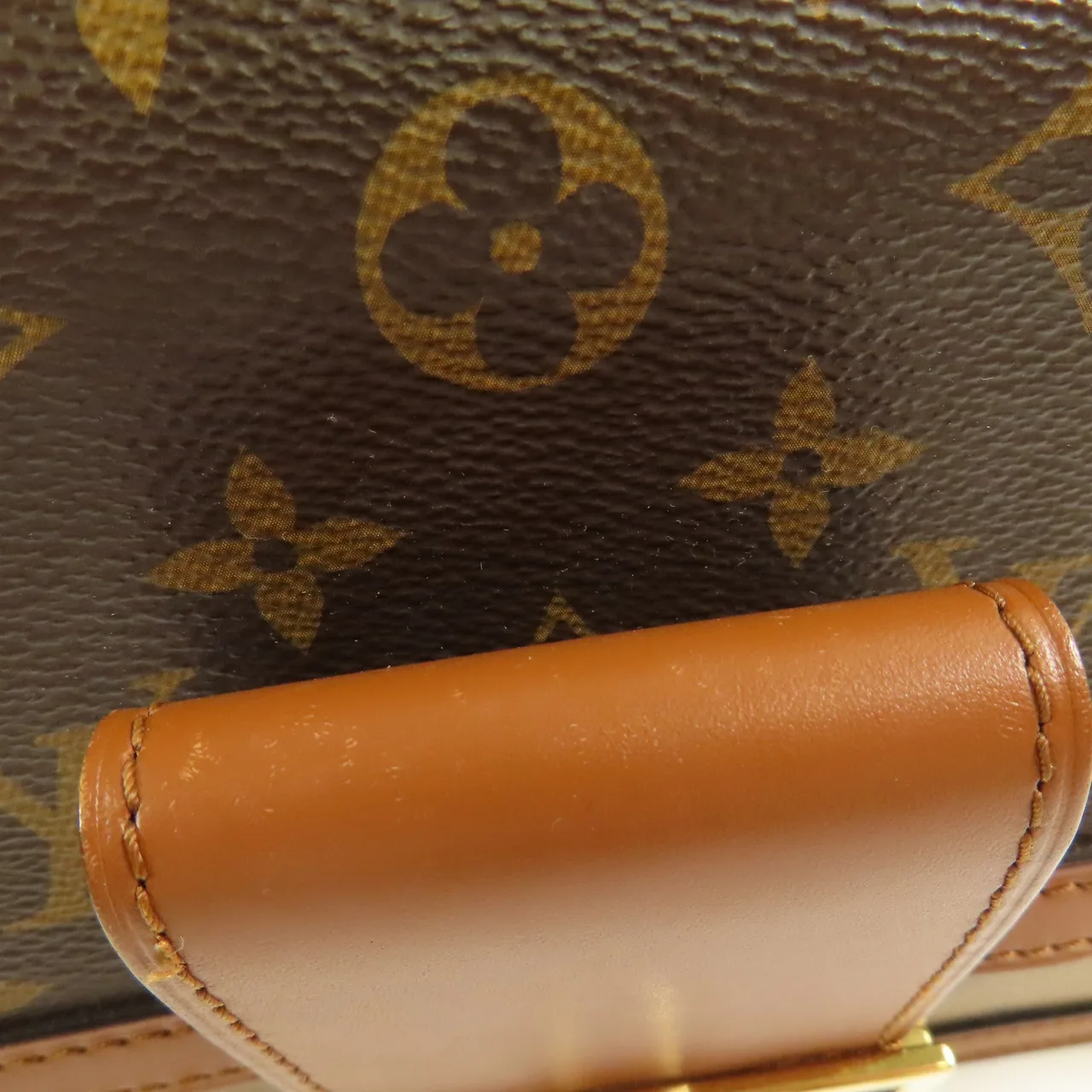 LOUIS VUITTON Dauphine M44391 兩用包 塗層帆布 棕色 / Brown/Marron 塗層帆布 中古品B - 縮圖 18