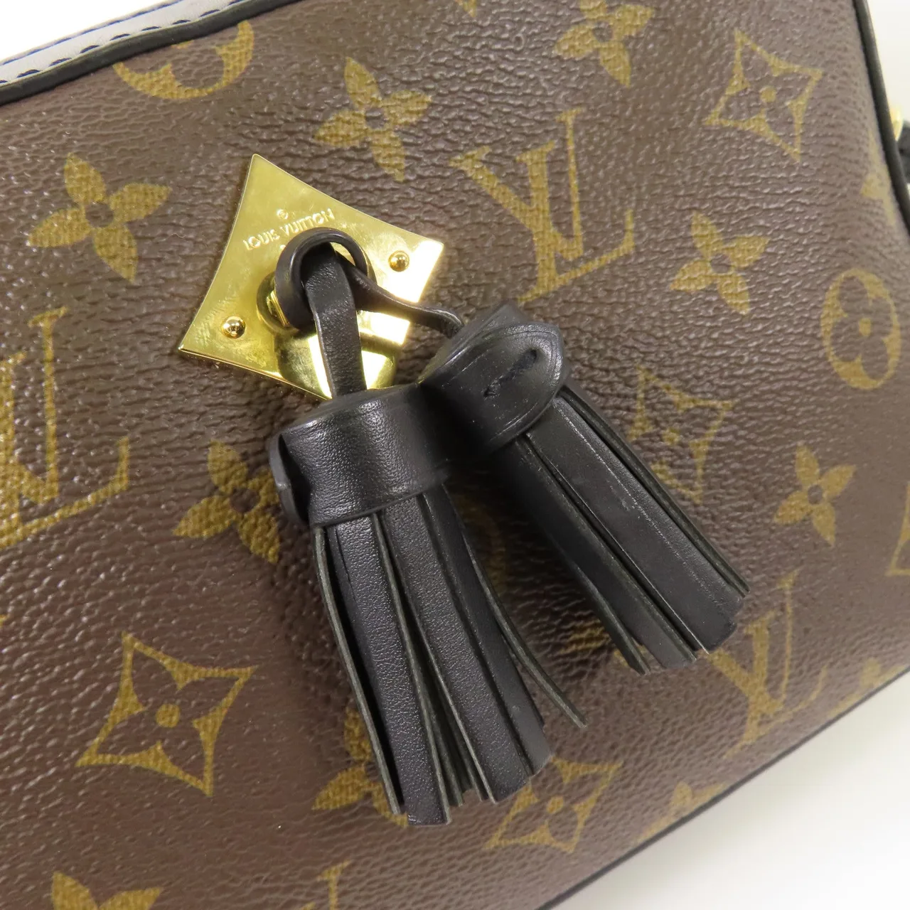 LOUIS VUITTON Saintonge M43555 兩用包 塗層帆布 棕色 / Brown/Black 塗層帆布 中古品B - 縮圖 10